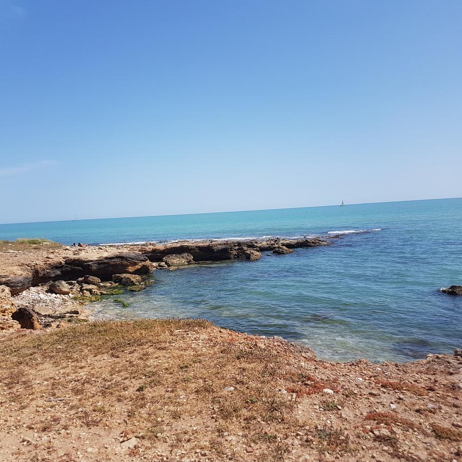 Casa Vacanze Il Giardino Dei Girasoli Marina di Ragusa Eksteriør billede